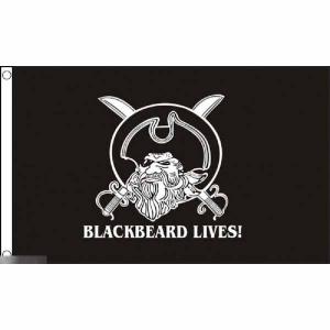 海外限定 国旗 100ドル 札デザイン 紙幣 アメリカ USA ベンジャミン