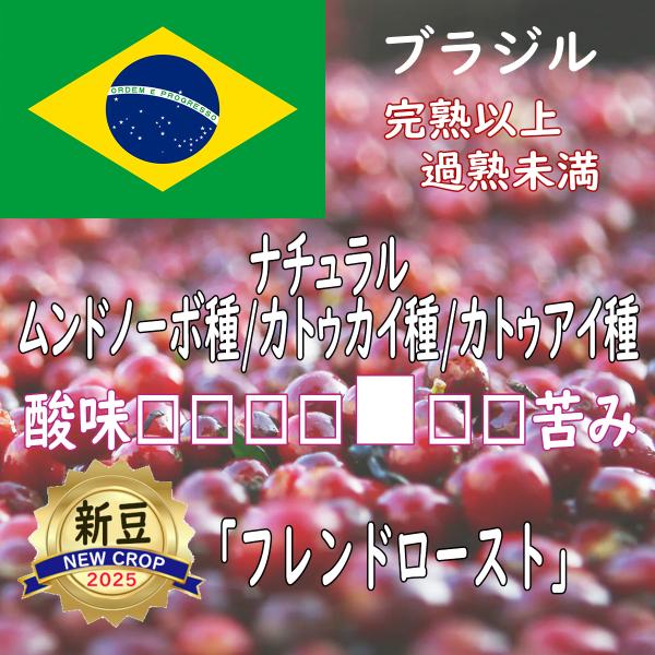 フレンドロースト　ムンドノーボ種/カトゥカイ種/カトゥアイ種　ナチュラル　中深煎り　ブラジル 200...