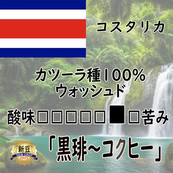 黒琲〜コクヒー　カツーラ種100% 200g 　ウォッシュド　コスタリカ　グァンボア農園　深煎り