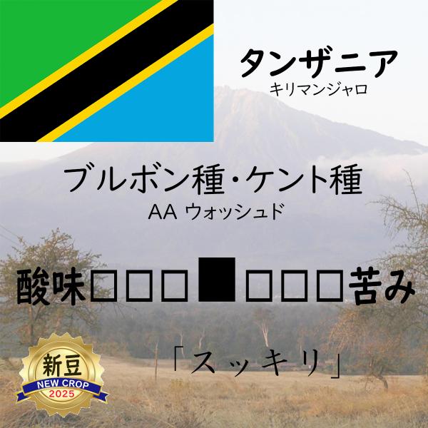 タンザニア 200g AA ウォッシュド キリマンジャロ スッキリ 中煎り