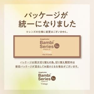 【3箱ご購入で1箱分無料クーポン】カラコン エ...の詳細画像1
