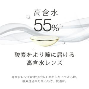 【2箱以上で10%OFFクーポン】 コンタクト...の詳細画像4
