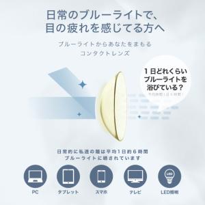 【2箱以上で10%OFFクーポン】 コンタクト...の詳細画像5
