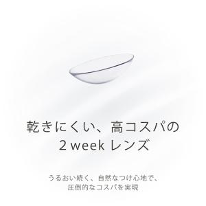 【10%OFFクーポン】2week コンタクト...の詳細画像3