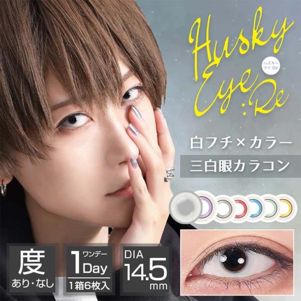 カラコン アシストシュシュ ハスキーアイ:Re ワンデー 1箱6枚入 度あり 度なし 14.5mm ...