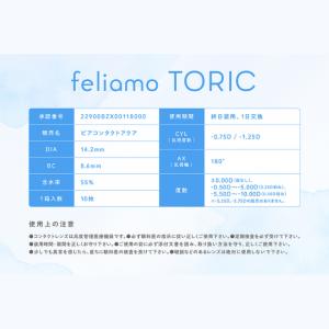 カラコン 乱視用 フェリアモ トーリック ワン...の詳細画像4