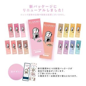 【3箱ご購入で1箱分無料クーポン】カラコン フ...の詳細画像3