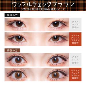 【15%OFFクーポン】カラコン フルーリー ...の詳細画像3