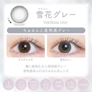 カラコン カイカ ワンデー 1箱10枚入 Ka...の詳細画像5