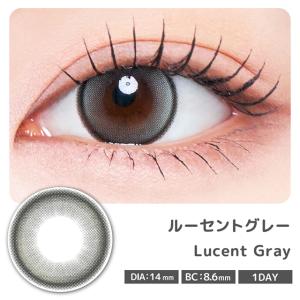 カラコン ラディリス ワンデー 1箱10枚入 ...の詳細画像5