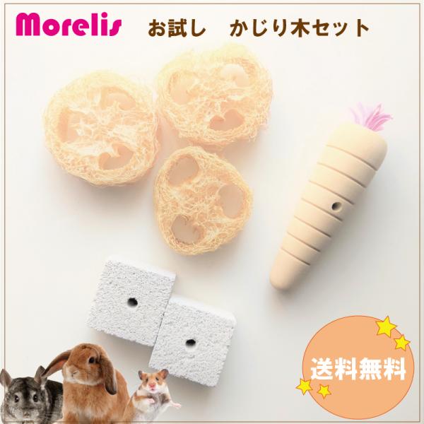 かじり木 お試しセット ミディアムサイズ　送料無料　おもちゃ チンチラ　デグー　うさぎ　ハムスター　...
