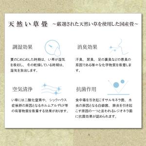 小上がり 畳ユニット 9畳 い草畳 日本製 幅...の詳細画像5