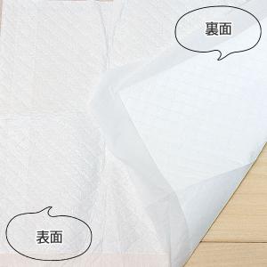 約6g/枚 ケース 超薄型ペットシーツ ハーフ...の詳細画像2
