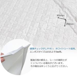 ケース Air Ultra Lightペットシ...の詳細画像3
