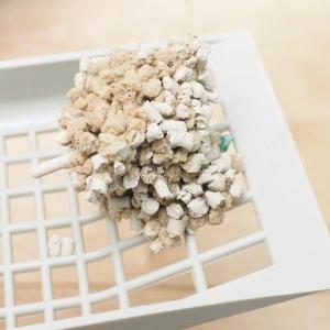 ケース ライオン ニオイをとる砂 軽量タイプ ...の詳細画像4