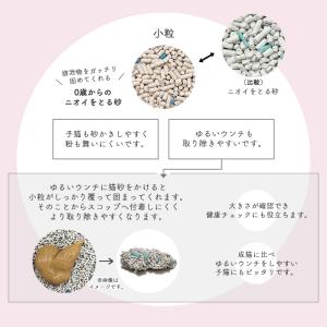ケース ライオン 0歳 (子猫) からのニオイ...の詳細画像3
