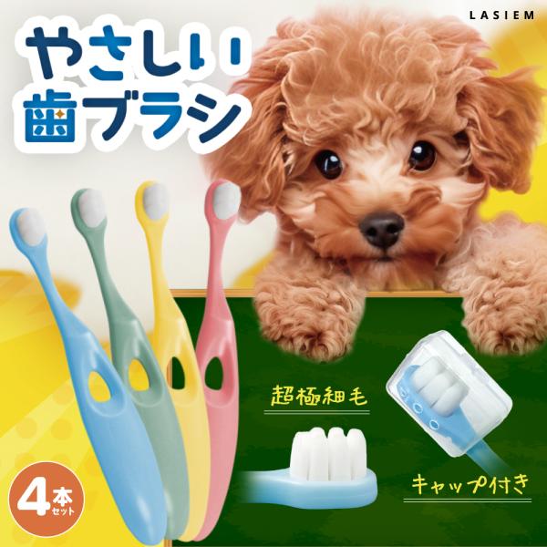 ペット 歯ブラシ 歯ぶらし 犬 猫 はぶらし 歯磨き 痛くない 超極細毛 ラシエム