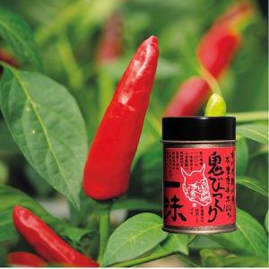 鬼びっくり一味唐辛子 : 本格手打もり家 - 通販 - Yahoo!ショッピング