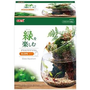 テラリウム 植物 種類 その他水槽 の商品一覧 水槽 熱帯魚 アクアリウム用品 ペット用品 生き物 通販 Yahoo ショッピング