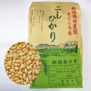 まごごろ米コシヒカリ(玄米)20kg【もりばやし...の商品画像