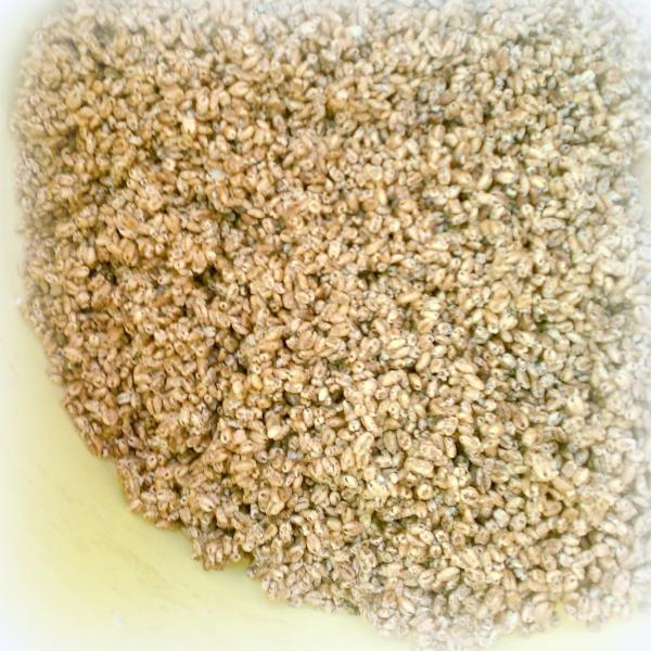 １升分のダイシモチのポン加工品：完全な無添加もち麦100％　（原料段階で1.4ｋｇ）