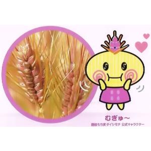 むぎゅ〜ポン(ダイシモチをポン菓子にしました)...の詳細画像1