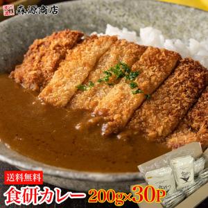 カレー レトルト 大容量 食研カレー 200g×30袋 中辛 箱売り 業務用販売 日本食研 惣菜 常温便 同梱不可 グルメ 食品 ギフト ポイント利用