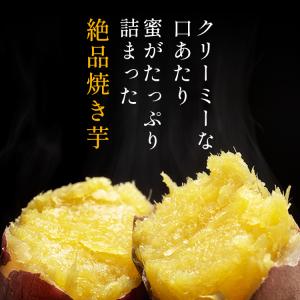 焼き芋 冷凍 500g 茨城県産 紅はるか ミ...の詳細画像2