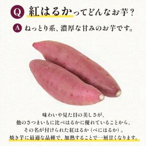 焼き芋 冷凍 500g 茨城県産 紅はるか ミ...の詳細画像3