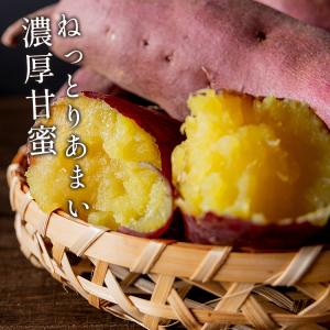 焼き芋 冷凍 500g 茨城県産 紅はるか ミ...の詳細画像5
