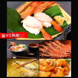 ぼたん海老1kg 生 特大サイズ アラスカ産 刺身 エビ 生 魚介類 海産物 海老 エビ ボタンエビ 卵 生エビ 送料無料 冷凍便 備蓄 Ebi 029 食の達人森源商店