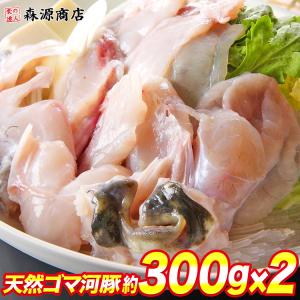 天然 ゴマふぐ 切り身300g × 2 ふぐ フグ 河豚  唐揚げ