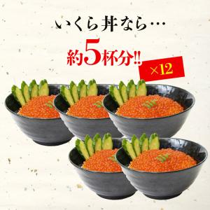 いくら 醤油漬け 3kg (250g×12p)...の詳細画像4