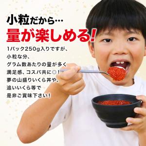 いくら イクラ 紅鮭 醤油漬け 250g さけ...の詳細画像5