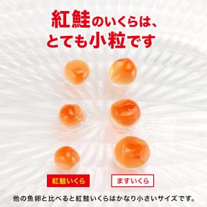 いくら イクラ 紅鮭 醤油漬け 500g (2...の詳細画像2