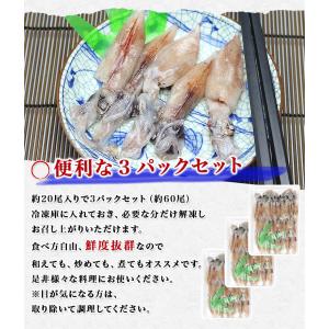 ほたるいか 蛍いか 生ホタルイカ 生食用 60...の詳細画像2