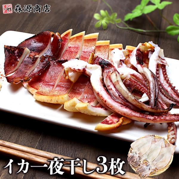 いか ふっくら一夜干し 3枚 イカ やわらか 烏賊 姿 干物 珍味 食品 海鮮 ギフト ポイント利用...