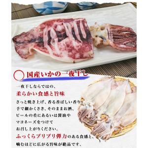 いか イカ ふっくらやわらか いか 一夜干し ...の詳細画像1