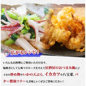 いか イカ ふっくらやわらか いか 一夜干し ...の詳細画像2
