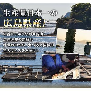 牡蠣 広島県産 約1kg かき カキ 超特大2...の詳細画像2