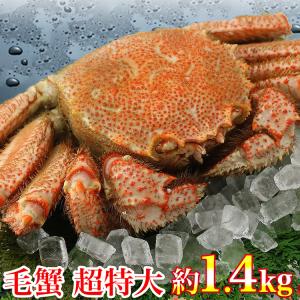 かに 毛ガニ 超特大1尾 約1.4kg ロシア産 毛蟹 けがに ケガニ 毛ガニ カニ 蟹 グルメ 食品 海鮮 ギフト クーポン 父の日 母の日遅れてごめんね