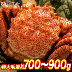 ロシア産 毛ガニ1尾 約700g〜900g 毛蟹 毛がに ケガニ 蟹 カニ かに グルメ 食品 海鮮 ギフト ポイント利用 爆買