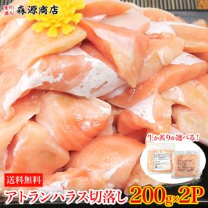 超目玉！大トロ サーモン 生食用 200g×2 訳あり 切落し