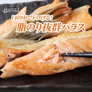 サーモン ハラス 1kg 鮭 アトランティック...の詳細画像2