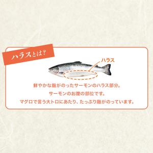 サーモン ハラス 1kg 鮭 アトランティック...の詳細画像3