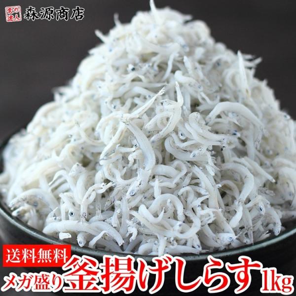 釜揚げしらす 1kg かまあげ シラス 業務用 食品 海鮮 ギフト ポイント利用 爆買
