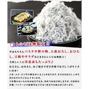 釜揚げしらす 1kg かまあげ シラス 業務用...の詳細画像1