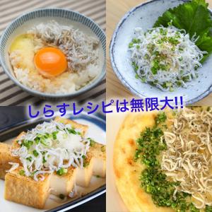 釜揚げしらす 1kg かまあげ シラス 業務用...の詳細画像3
