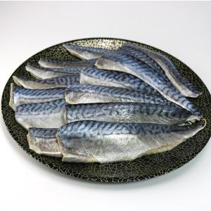 しめ鯖 業務用 1kg しめさば シメサバ バ...の詳細画像3