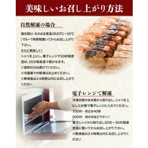 押し寿司 大起水産 穴子 3本セット 8貫入x...の詳細画像5